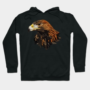 Golden eagle Hoodie